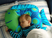 Fish Boy Sleeping With Pillowcase