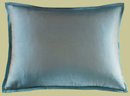 Profiles Turquoise - King Sham 20" X 36" Pillow